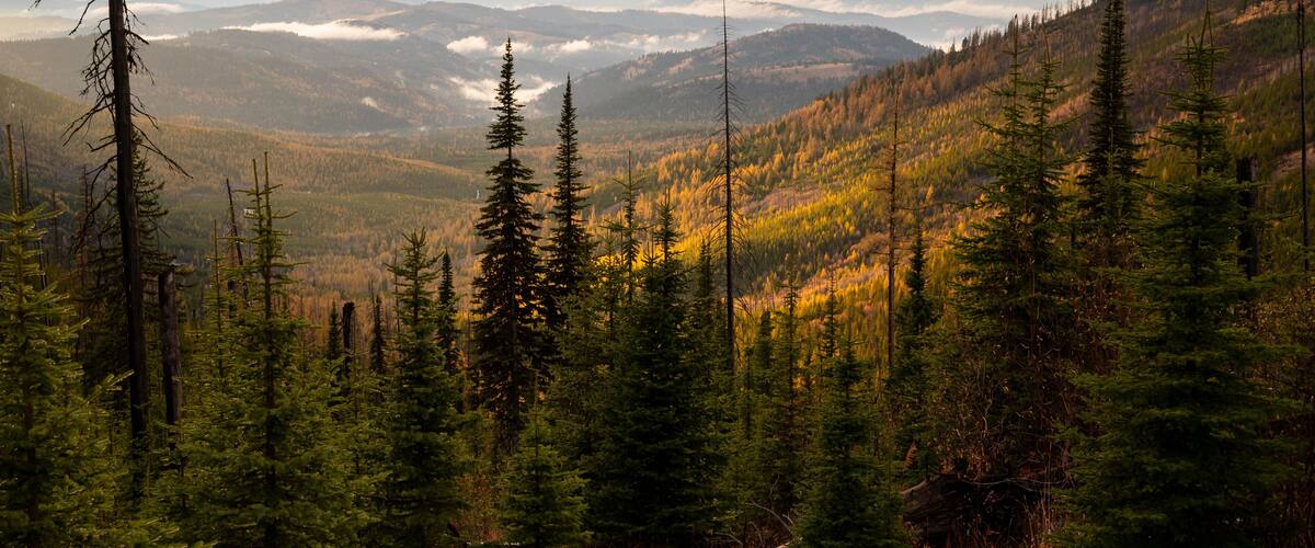 A mountainous landscape with dense forests and a view of distant mountains under a cloudy sky.