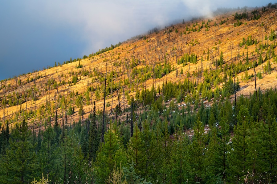 Sunset on the kettle crest trail in the colville national forest
