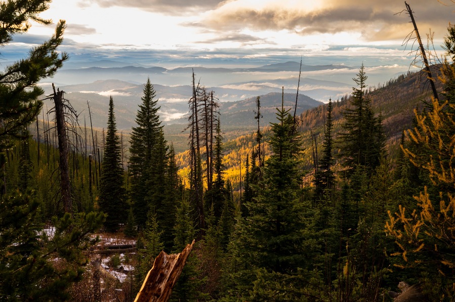Colville National Forest in The Fall