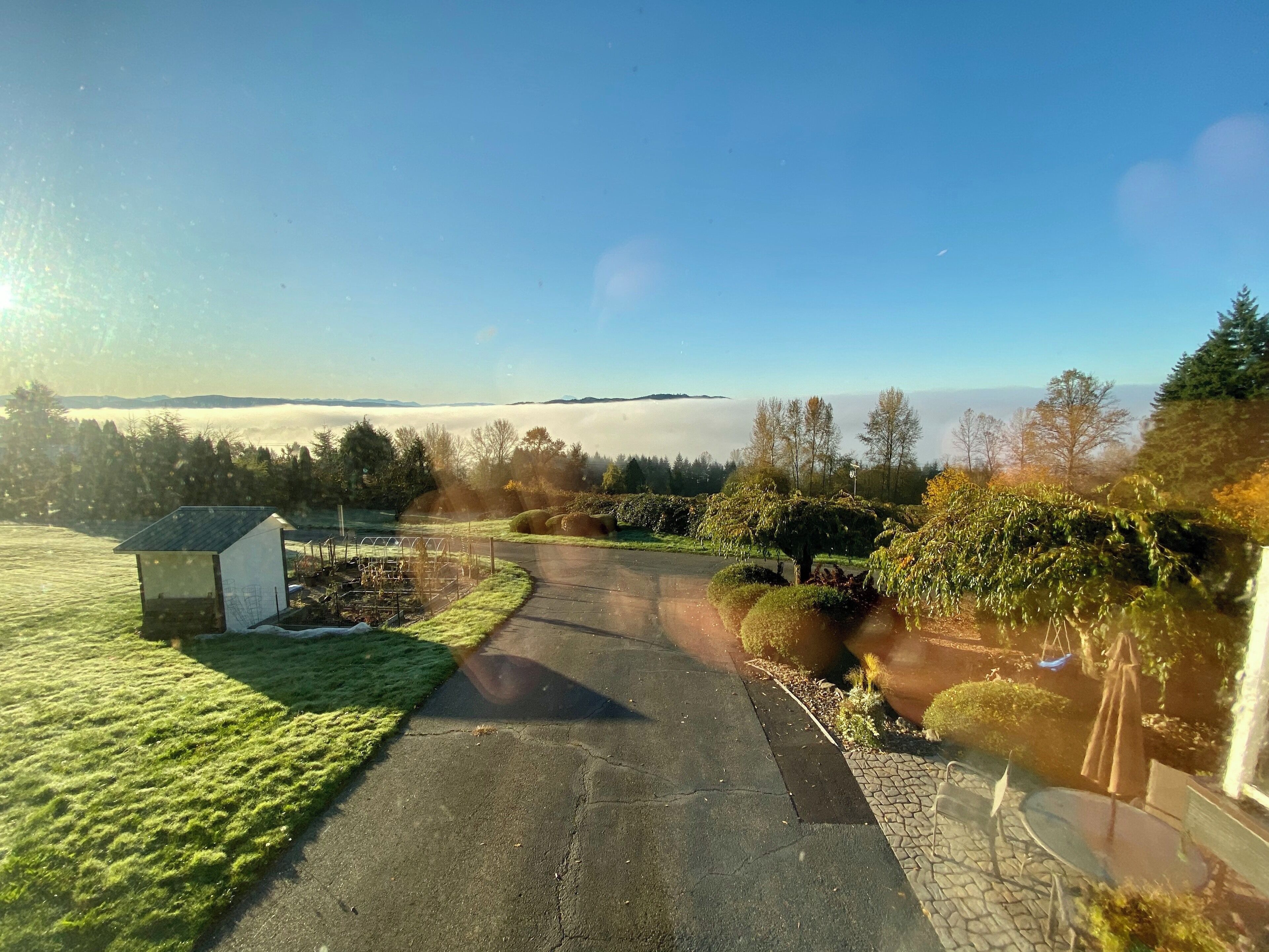 That white out there was fog 🙄
#beautifulpnw #pnw #LifeAtExpediaGroup