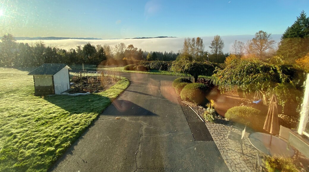 That white out there was fog 🙄
#beautifulpnw #pnw #LifeAtExpediaGroup