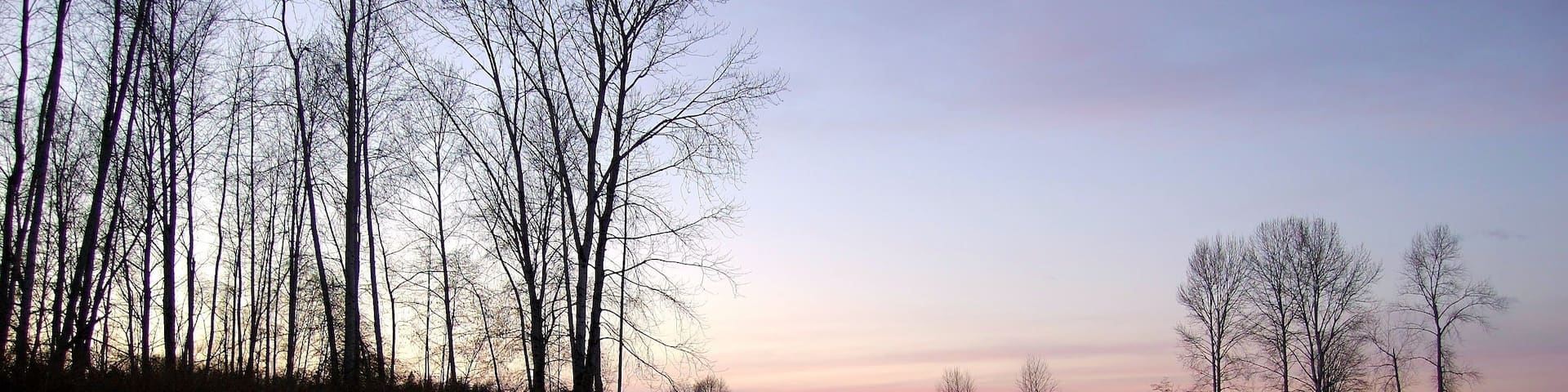 A river with reflections of trees and a clear sky.