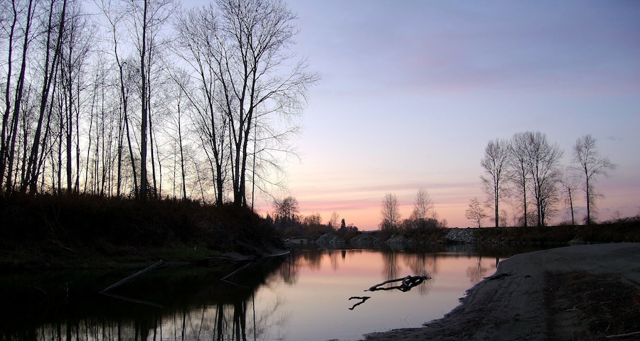A river with reflections of trees and a clear sky.