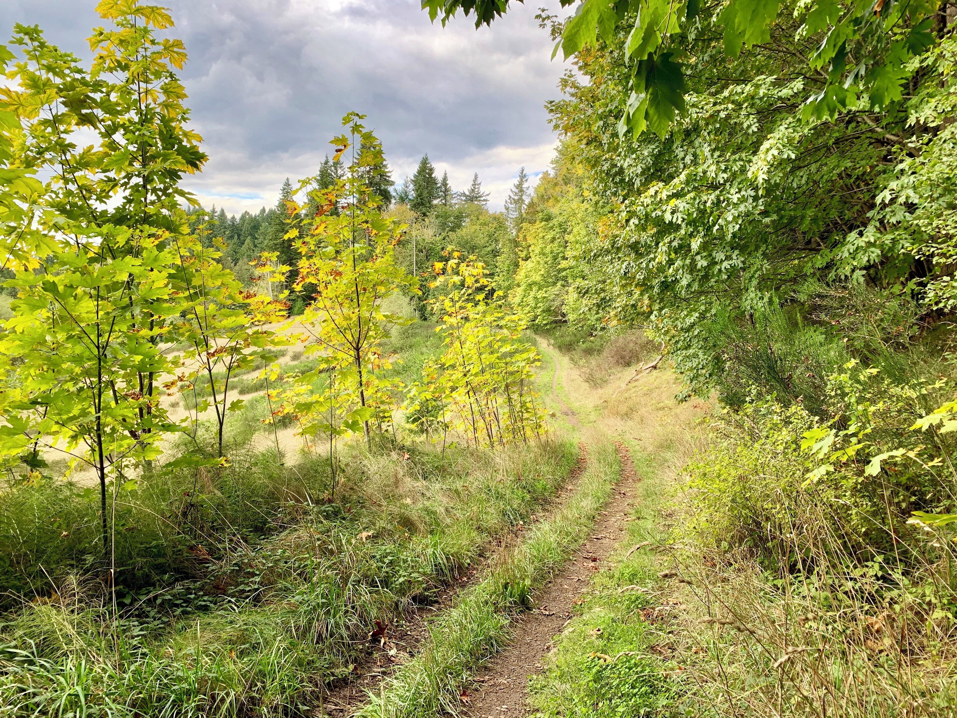 Great Fall day at Lord Hill!  Huge park near Snohomish in Washington State.
#fall #pnw #greatnorthwest #washingtonstate #autumn
