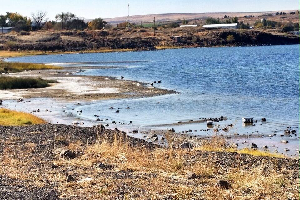 En flod med en stenig strand och gles vegetation.
