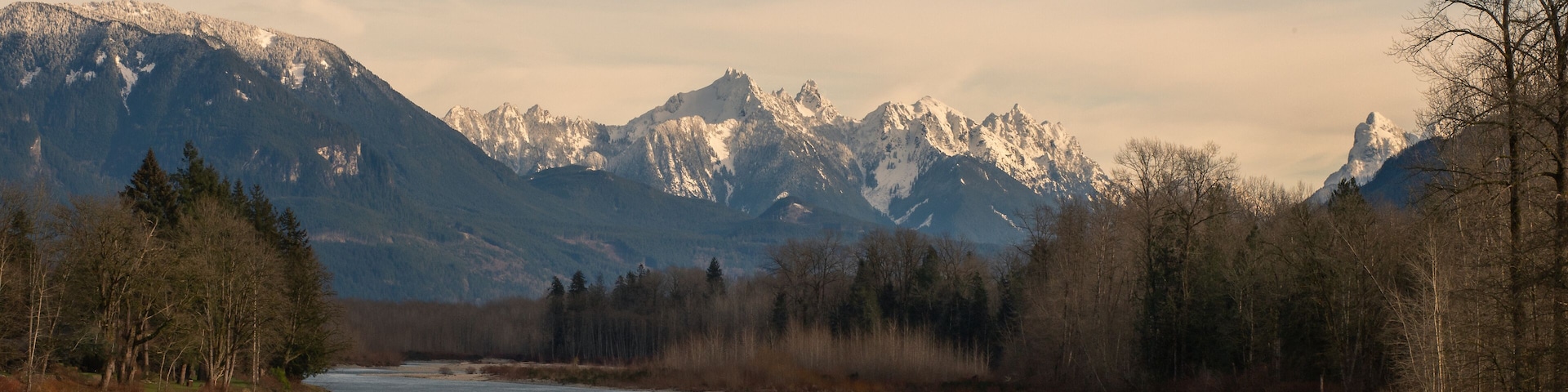 A river flowing through a forest with mountains in the background.