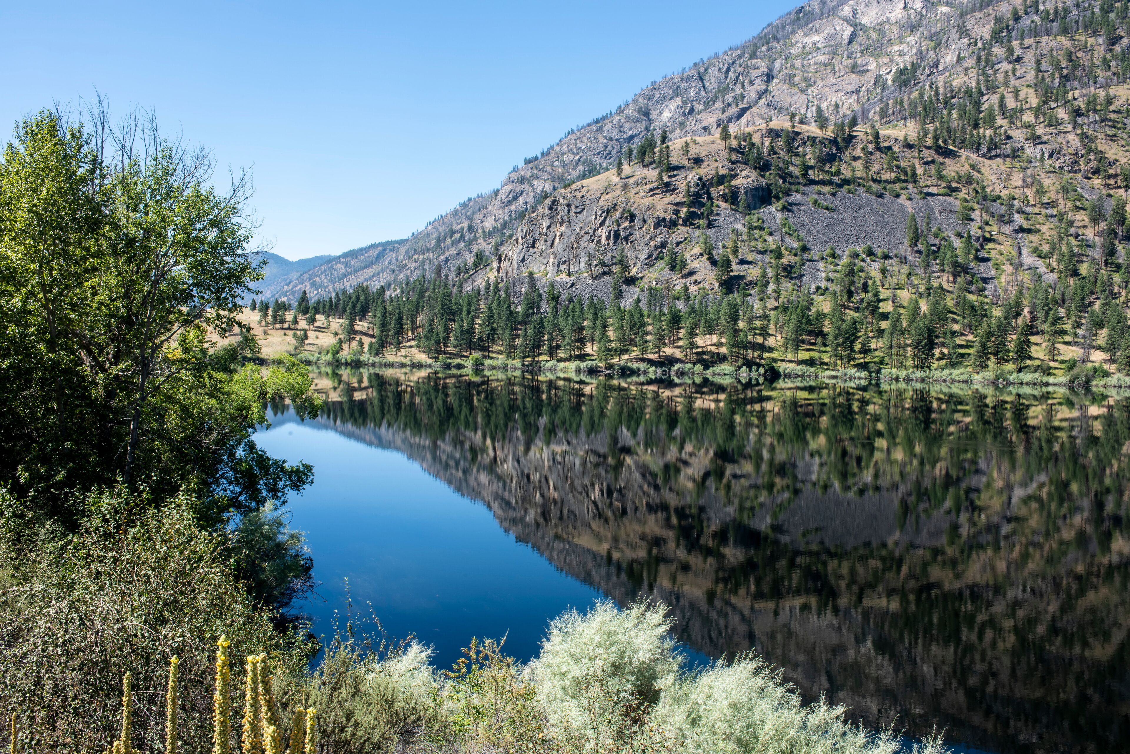 A calm lake reflecting trees and mountains.