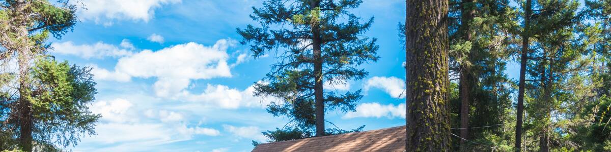 Rustic Log Cabins in Forest on Fishing Lake in a Resort Campground