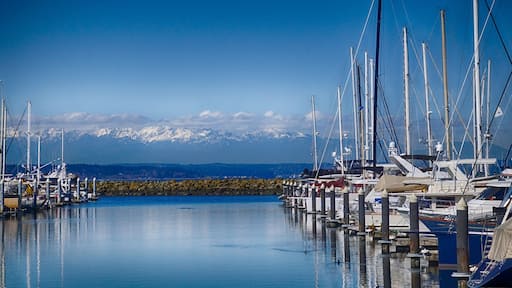 Reflections of sailboats in marina