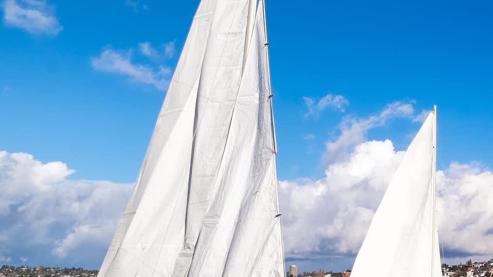 Two sailboats on calm water with a clear blue sky.