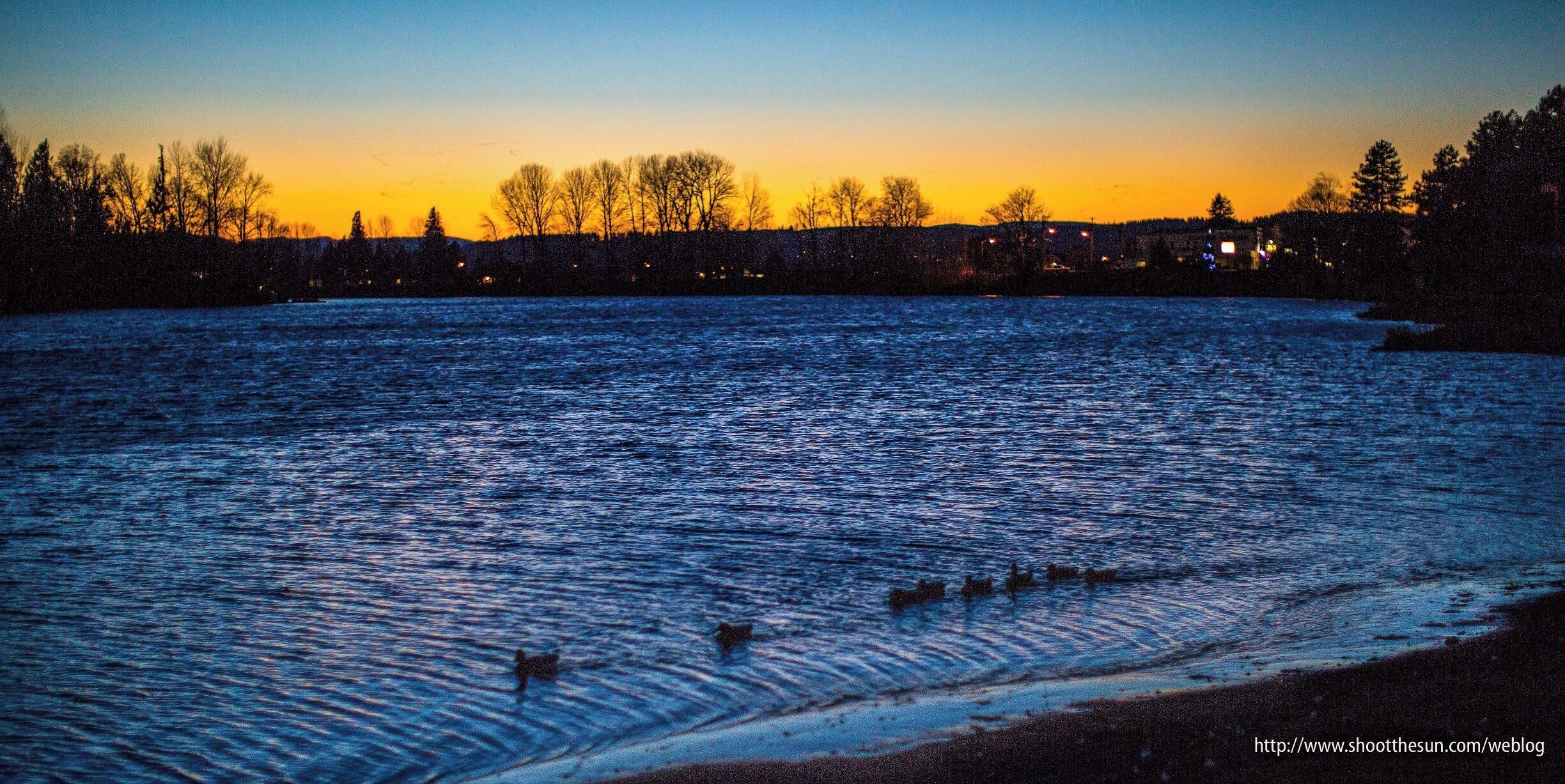 The ducks come looking for handouts even an hour after sunset.  Unfortunately, I did not have anything to give them.