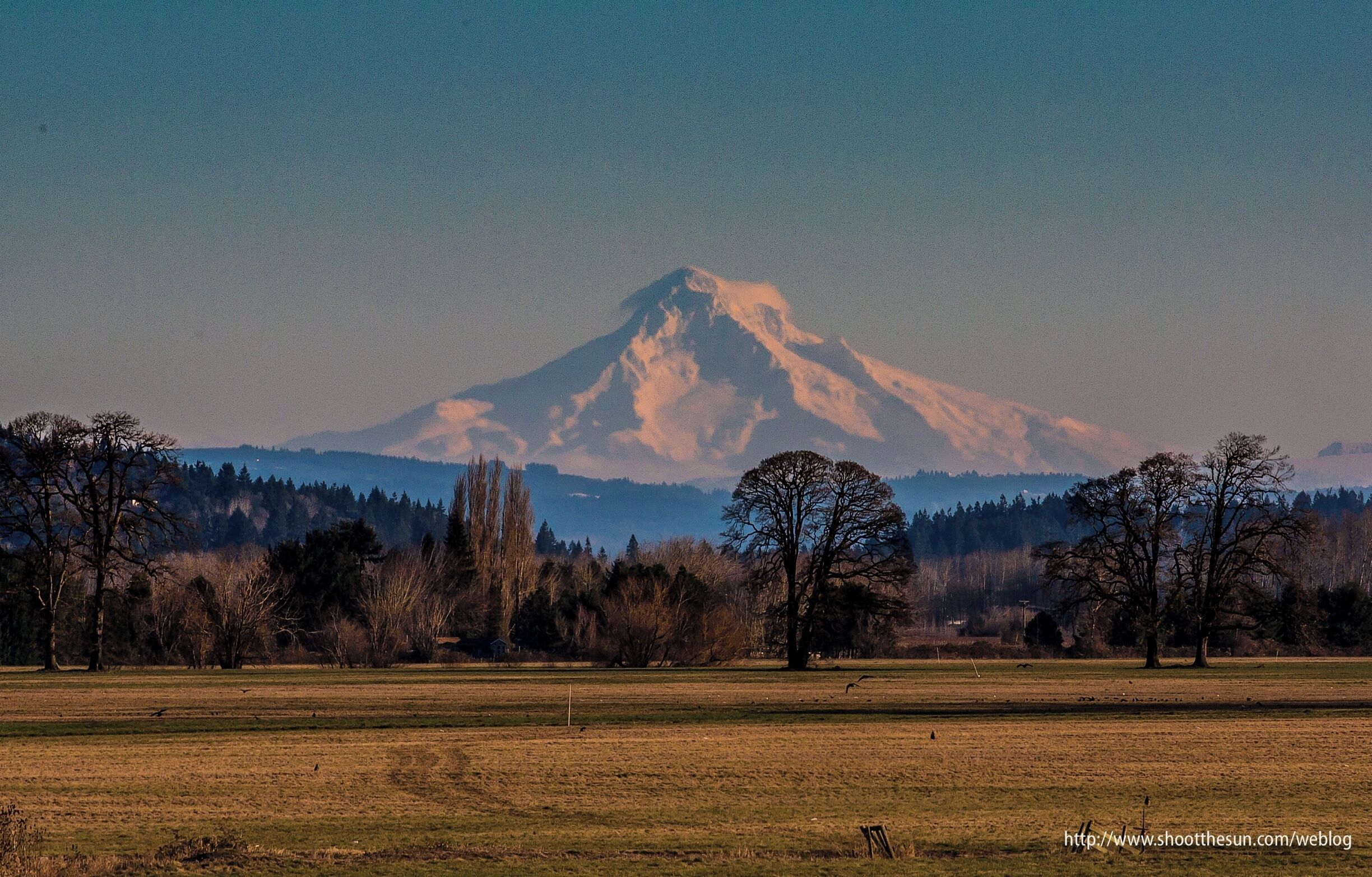 A snow-capped mountain in the distance with a clear sky.