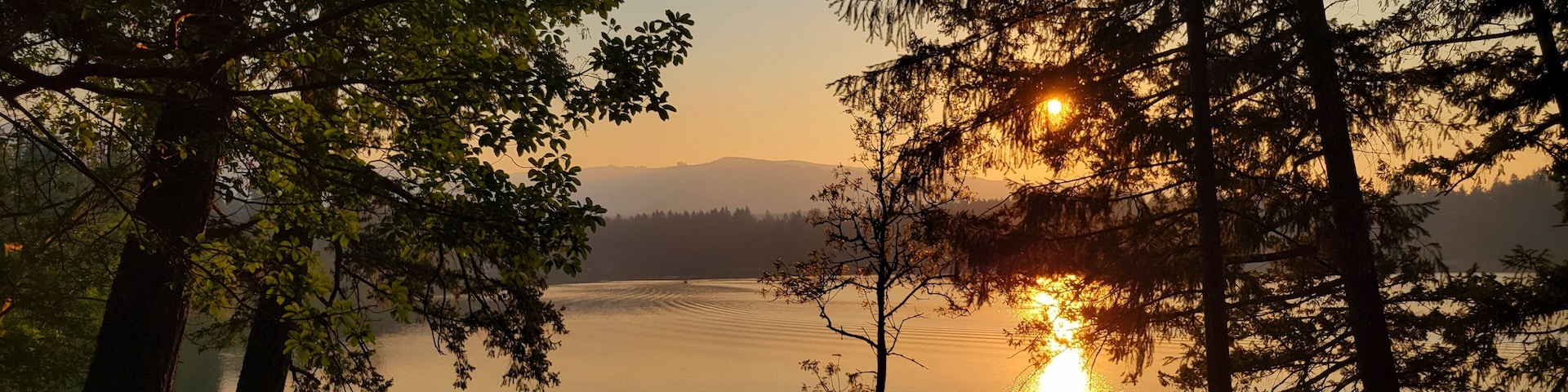 A serene lake surrounded by tall trees with a sunset in the background.