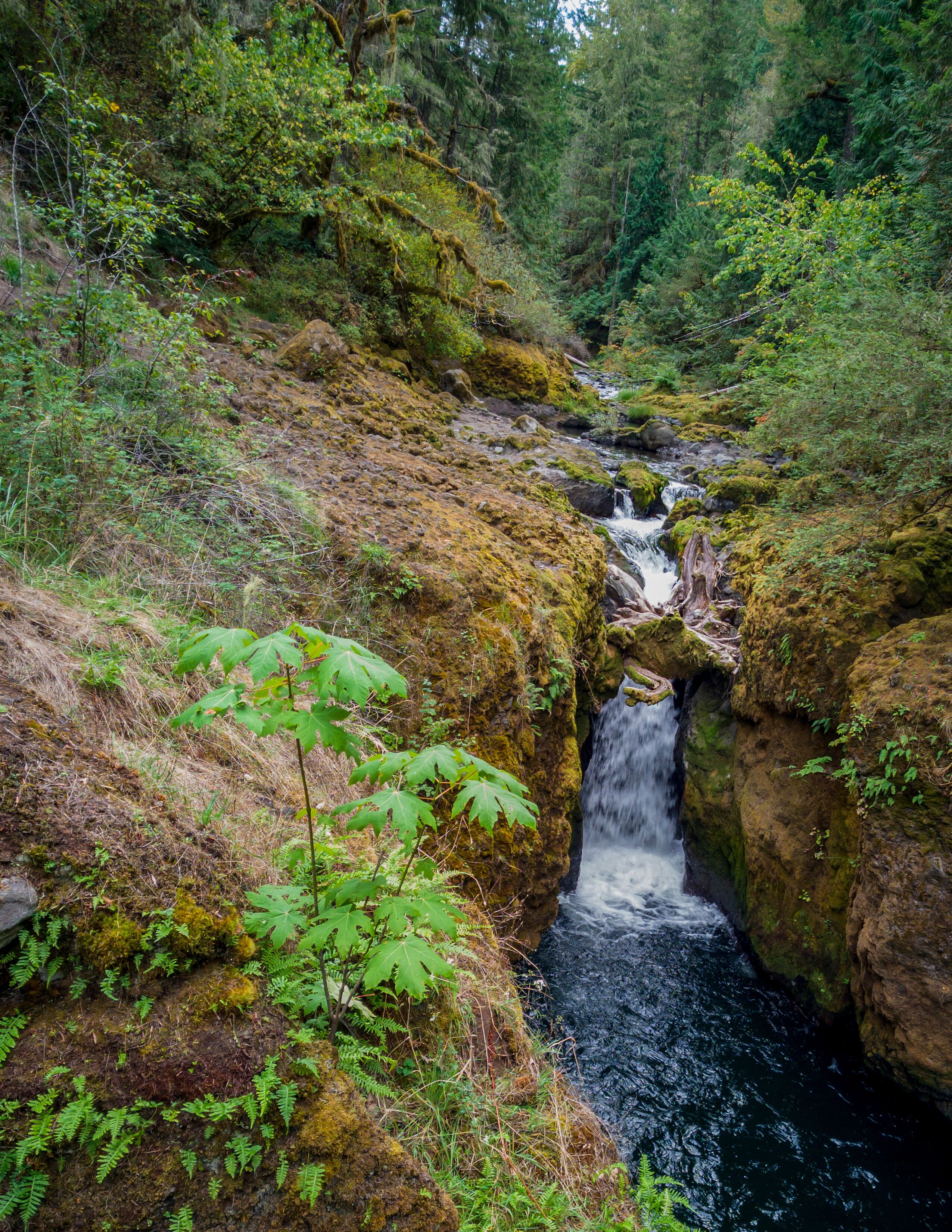 Yelm