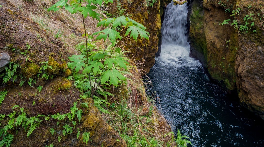 Yelm
