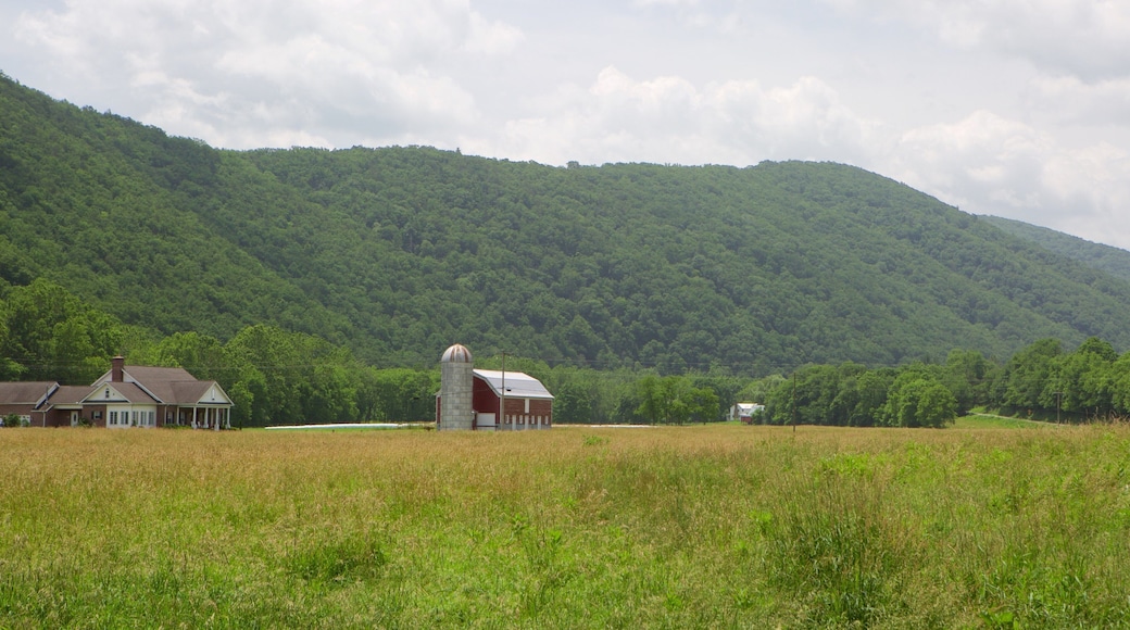 Canaan Valley fasiliteter samt åkre, hus og fjell