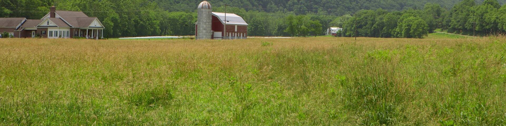 Canaan Valley showing farmland, mountains and tranquil scenes
