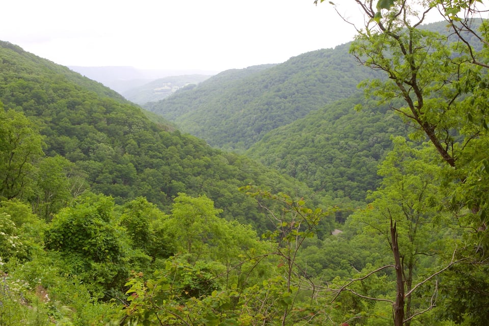 A lush green valley with dense forested hills.