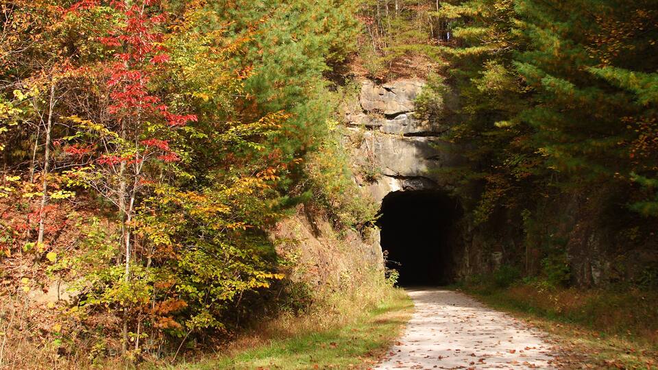 A forested path leading to a tunnel.