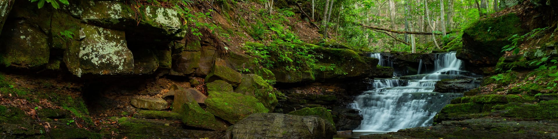 A waterfall cascading over moss-covered rocks in a forested area.