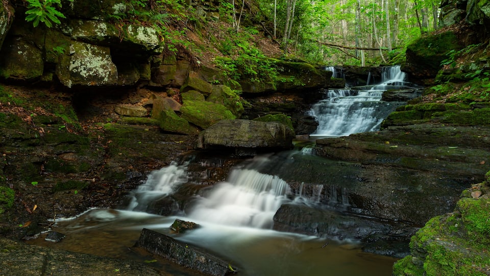 A waterfall cascading over moss-covered rocks in a forested area.