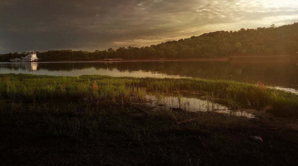 #Nature #contest #photography