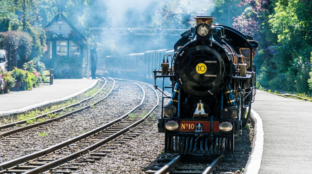 Romney, Hythe and Dimchurch miniature steam railway engine