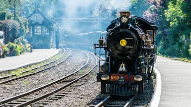 Romney, Hythe and Dimchurch miniature steam railway engine