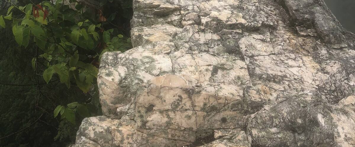 Seneca Rock Trail, WV.
#Nature photo contest