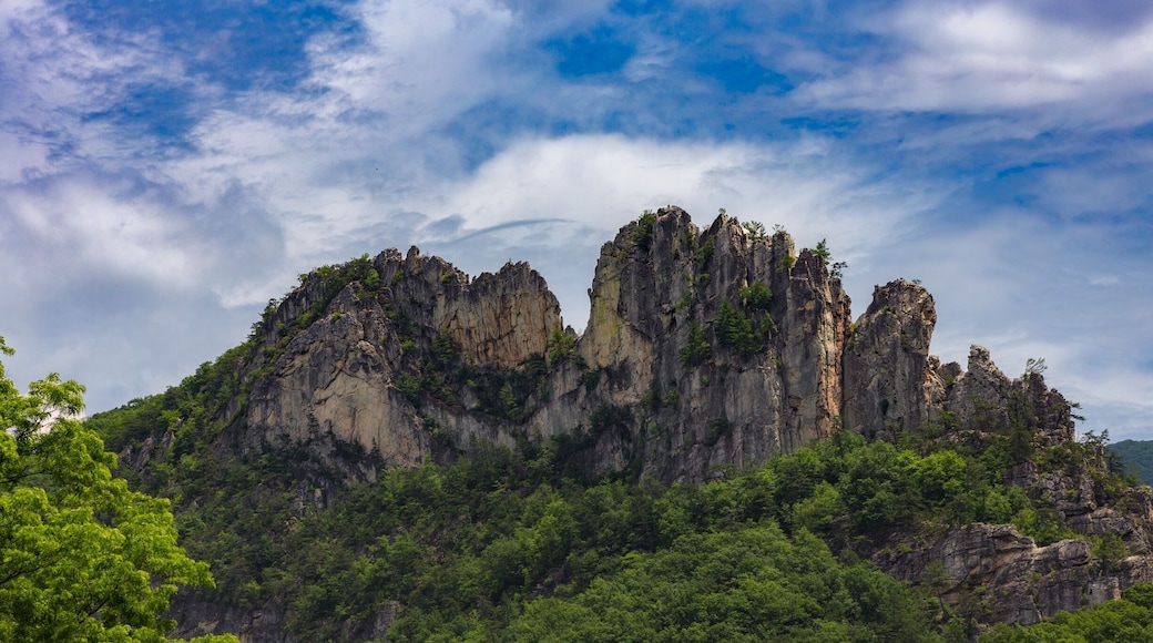 Seneca Rocks #BVSblue