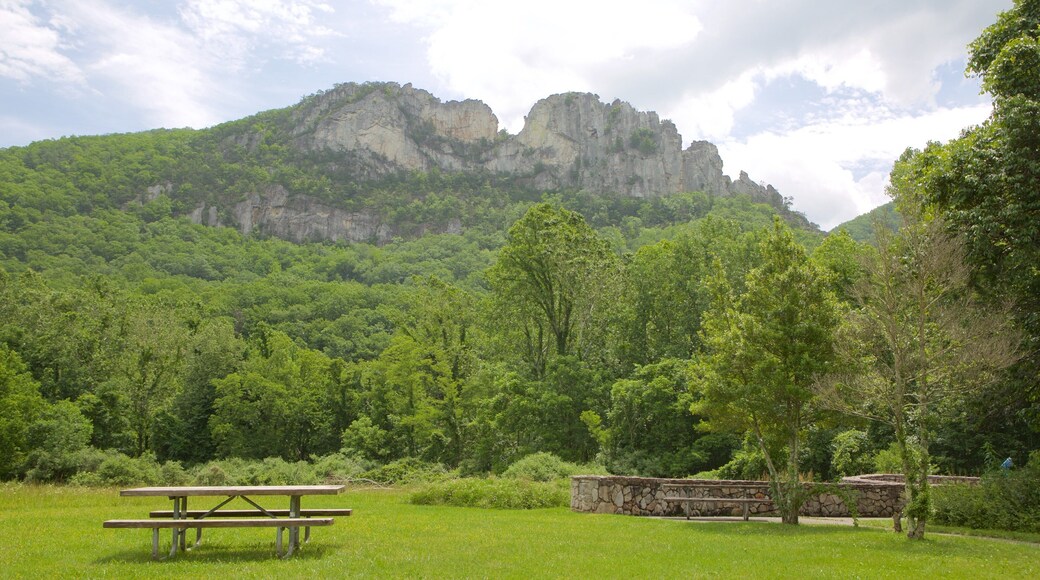 Seneca Rocks