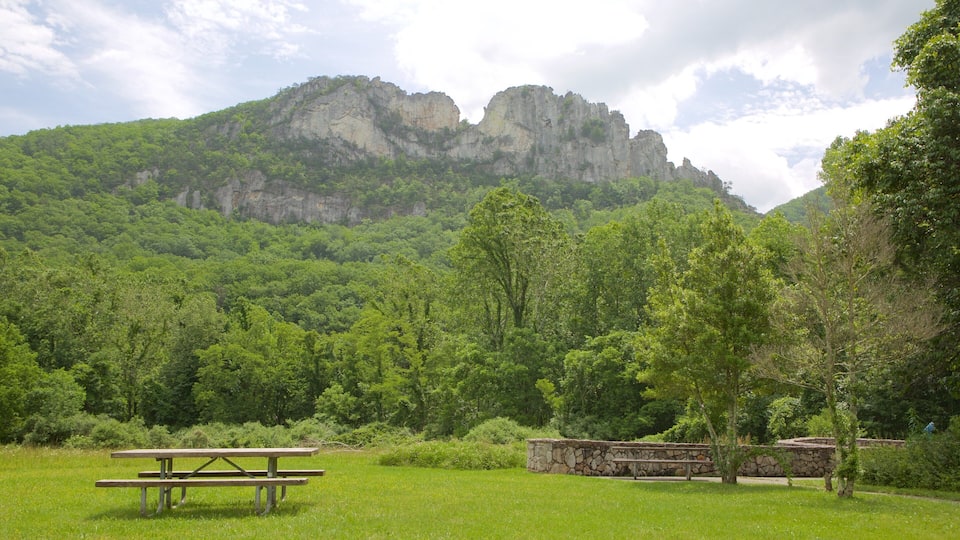 A picnic area with a stone wall and a wooden picnic table in a lush green field with a mountain in the background.