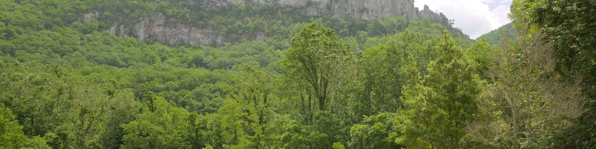 Seneca Rocks caracterizando um parque e montanhas