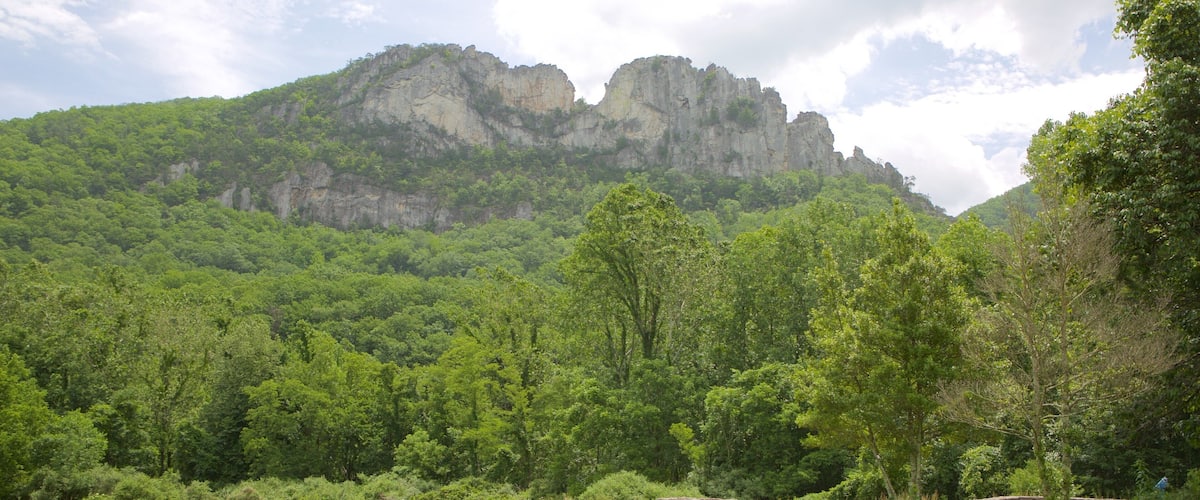 A picnic area with a stone wall and a wooden picnic table in a lush green field with a mountain in the background.