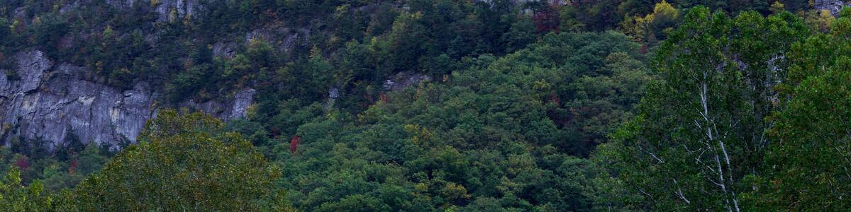 A mountain with a full moon in the sky and dense forest at its base.