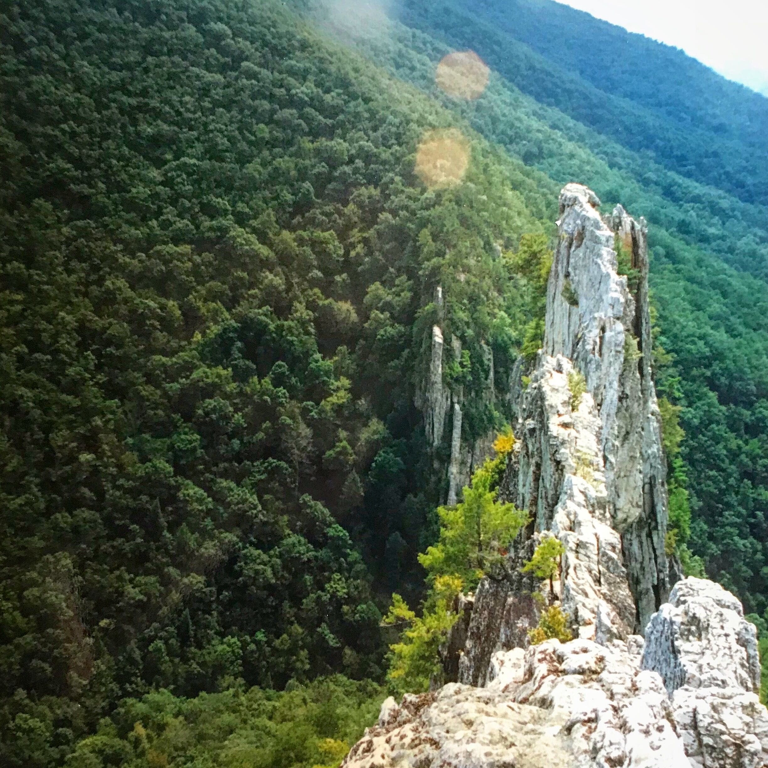 A rocky cliff with a forested mountain in the background.