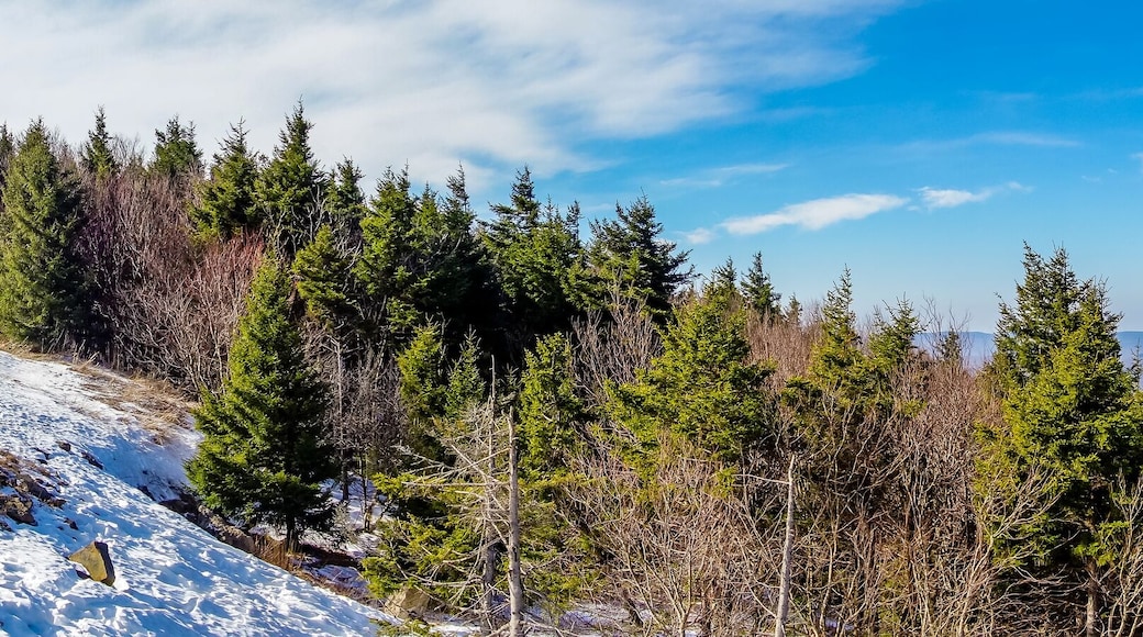 landscapes around town of snowshoe west virginia