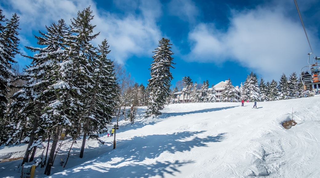 beautiful nature and scenery around snowshoe ski resort in cass west virginia