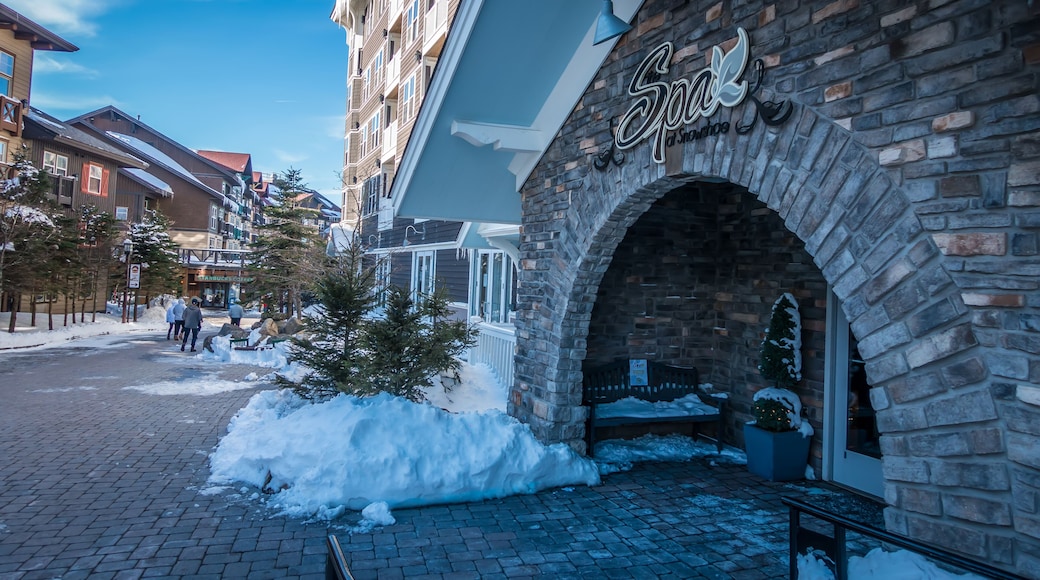 snowshoe mountain village and restaurants and shops on a sunny day
