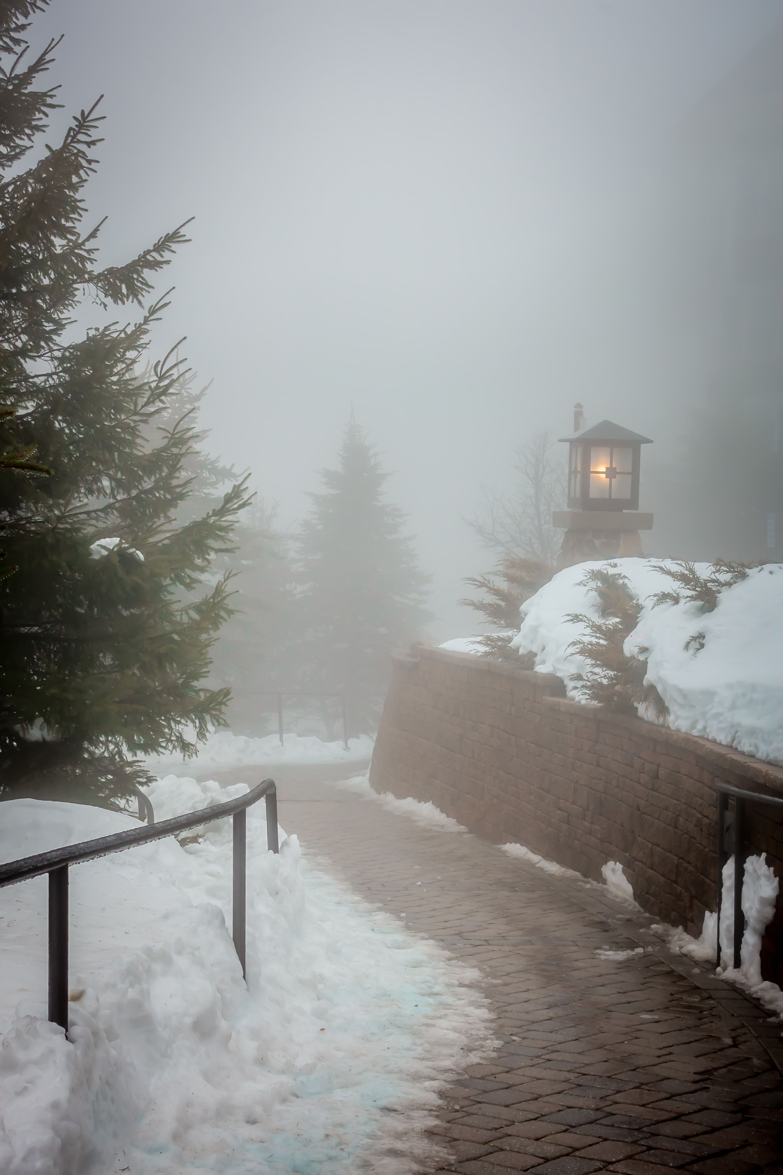 Snowshoe