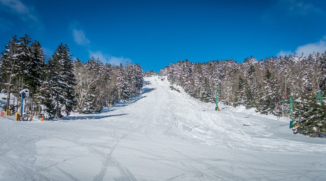 beautiful nature and scenery around snowshoe ski resort in cass west virginia; Shutterstock ID 1078760756; purchase_order: SP-1269 HA 2018 Batch 1; Order: ; client: ; other: