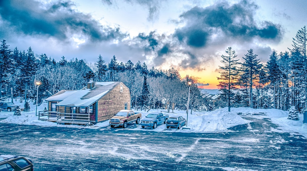 beautiful nature and scenery around snowshoe ski resort in cass west virginia