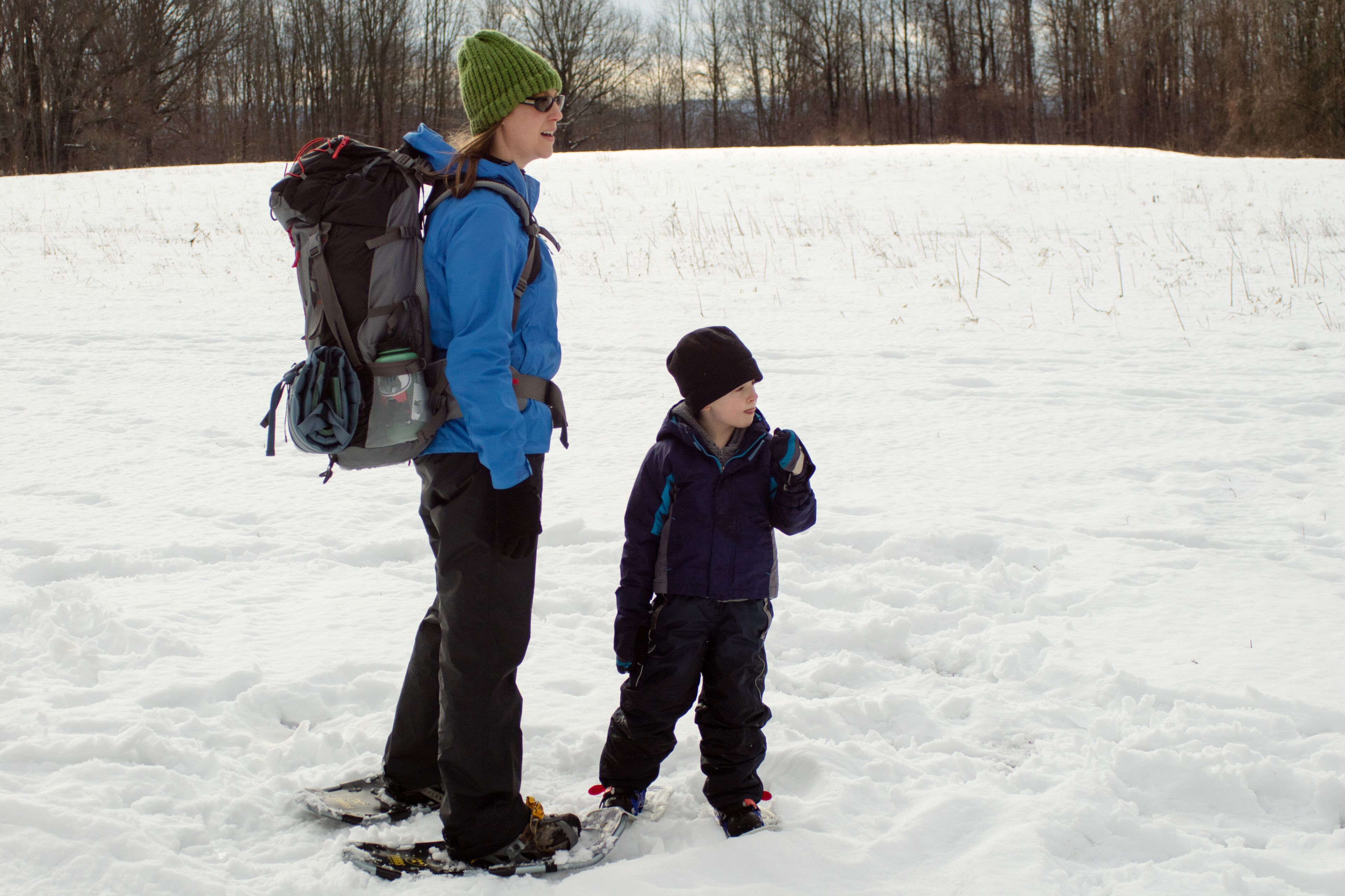 Snowshoe