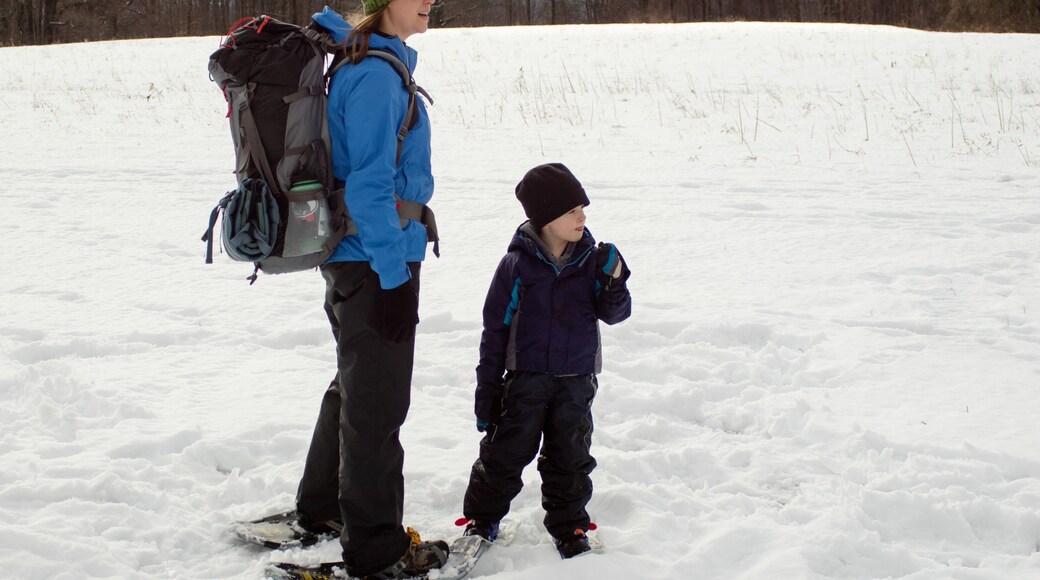 Snowshoe