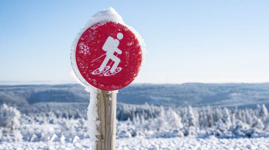 Red snowshoe hiking sign symbol with snovy trees and blue sky in winter snowscape landscape
