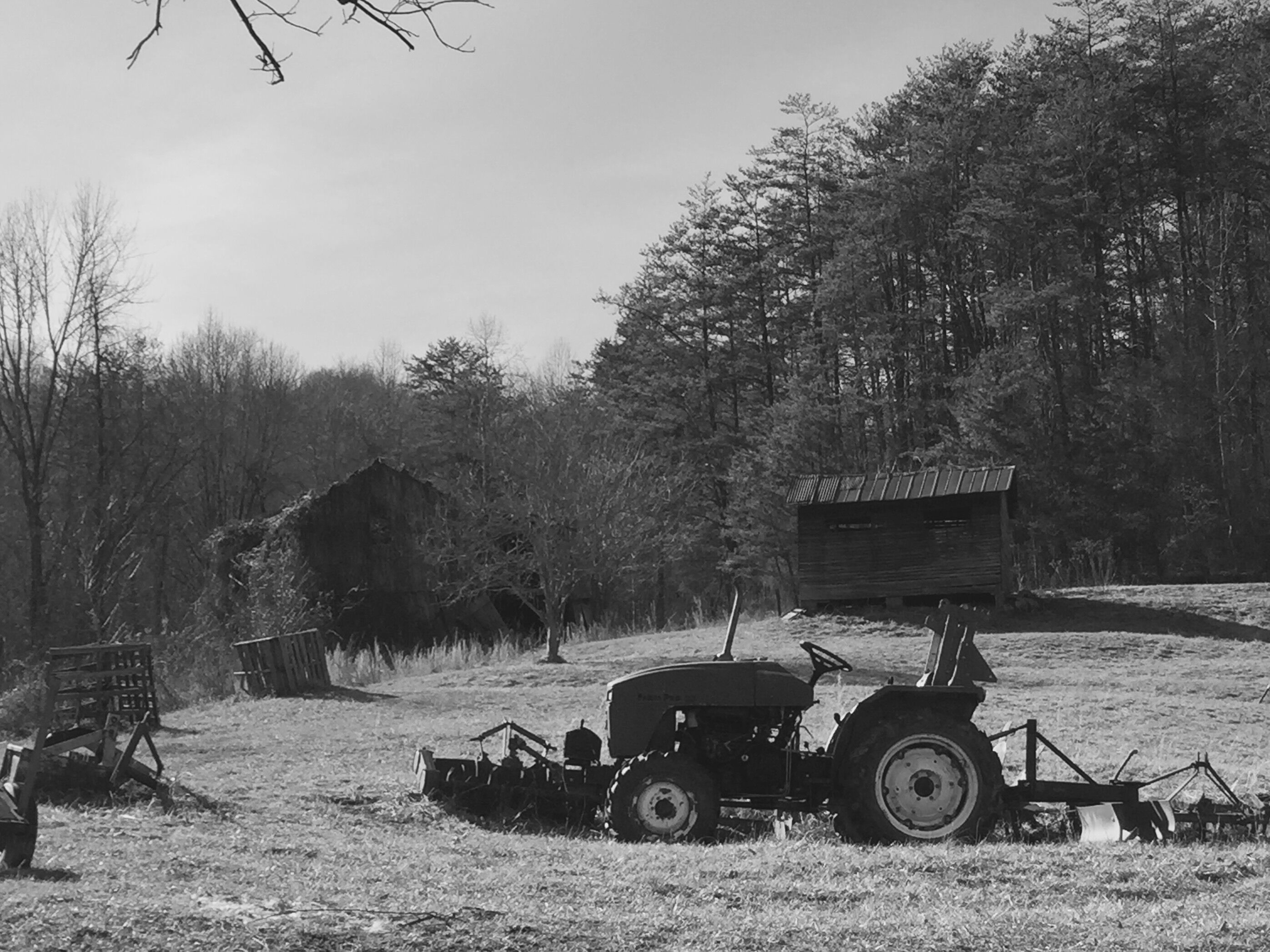 Beautiful farm on the top of the mountain on Angel Fork