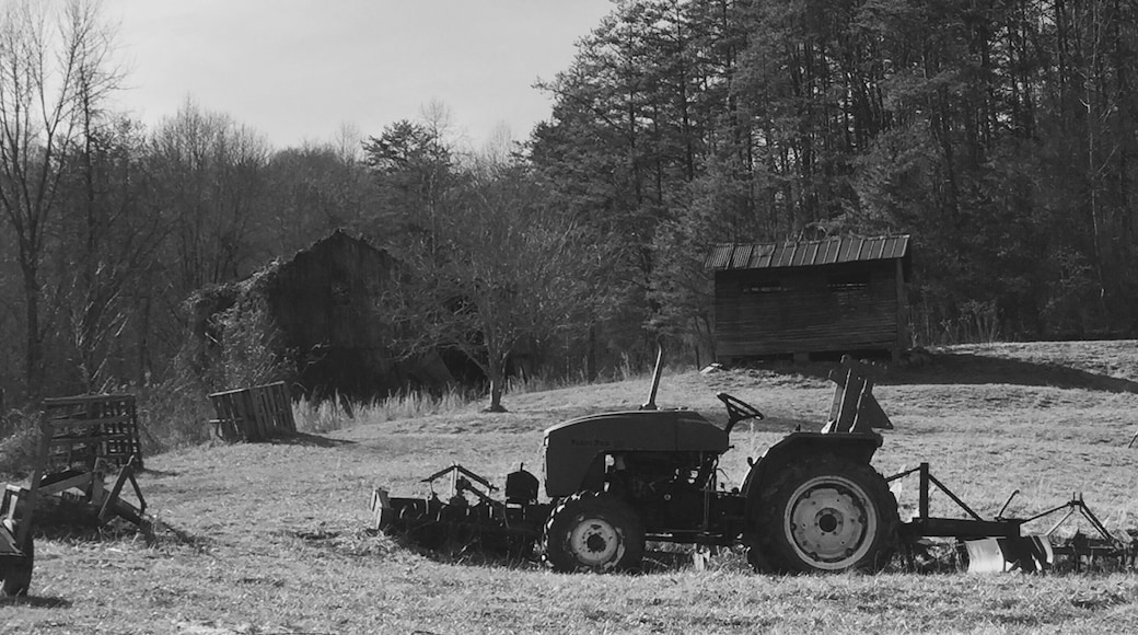 Beautiful farm on the top of the mountain on Angel Fork