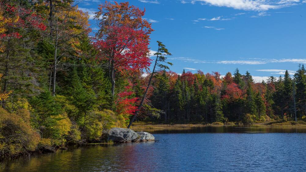 Red and yellow autumn colors are reflected in Adams reservoir, along the Molly Stark Trail, near Woodford vermont.