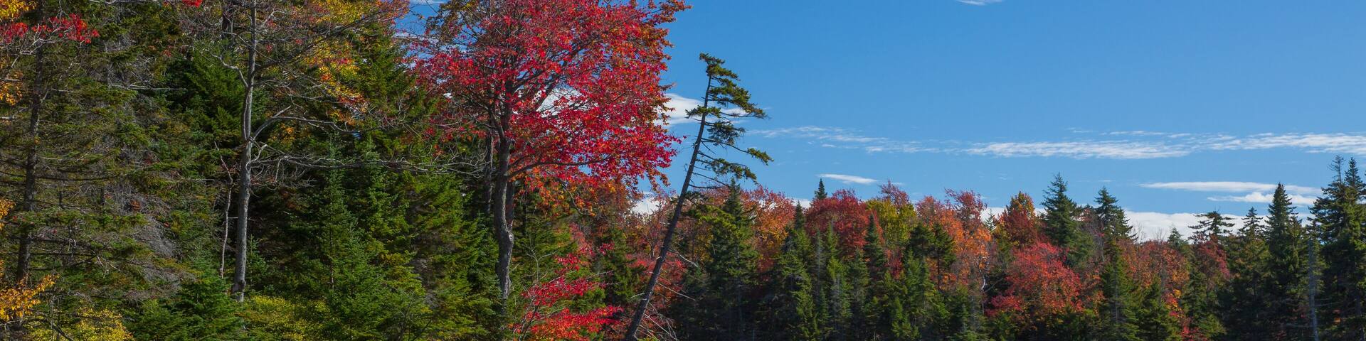 Red and yellow autumn colors are reflected in Adams reservoir, along the Molly Stark Trail, near Woodford vermont.