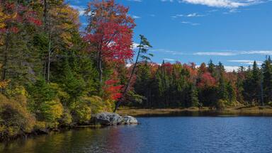 Red and yellow autumn colors are reflected in Adams reservoir, along the Molly Stark Trail, near Woodford vermont.